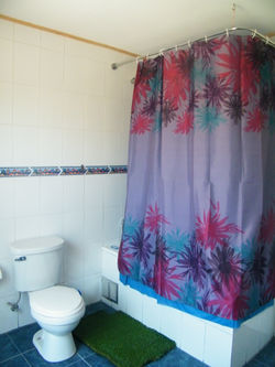 Baño 1