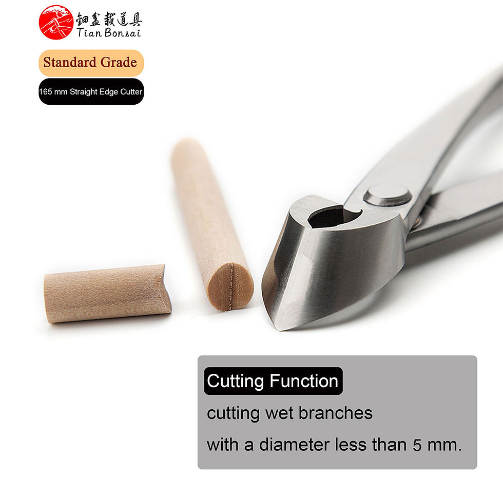 Miniature : Standard Grade Straight Edge Branch Cutter 3Cr13 Alloy Steel Bonsai Tools