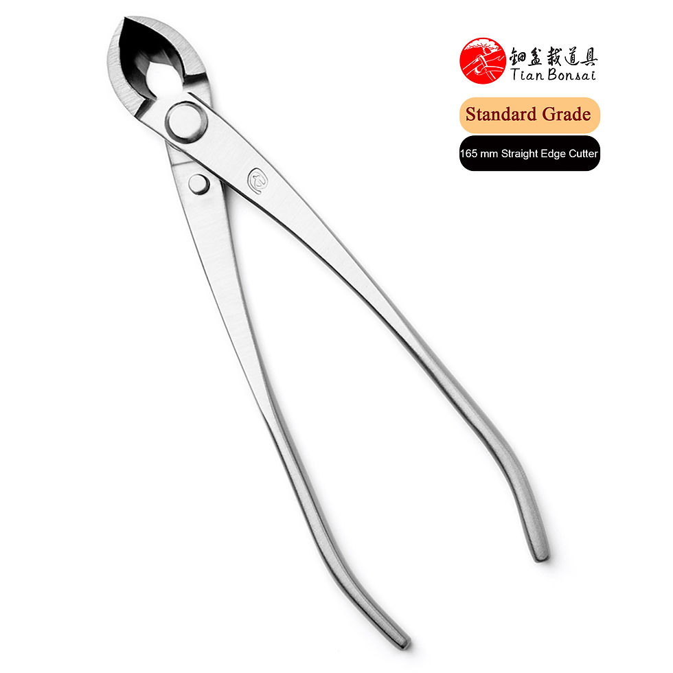Miniature : Standard Grade Straight Edge Branch Cutter 3Cr13 Alloy Steel Bonsai Tools