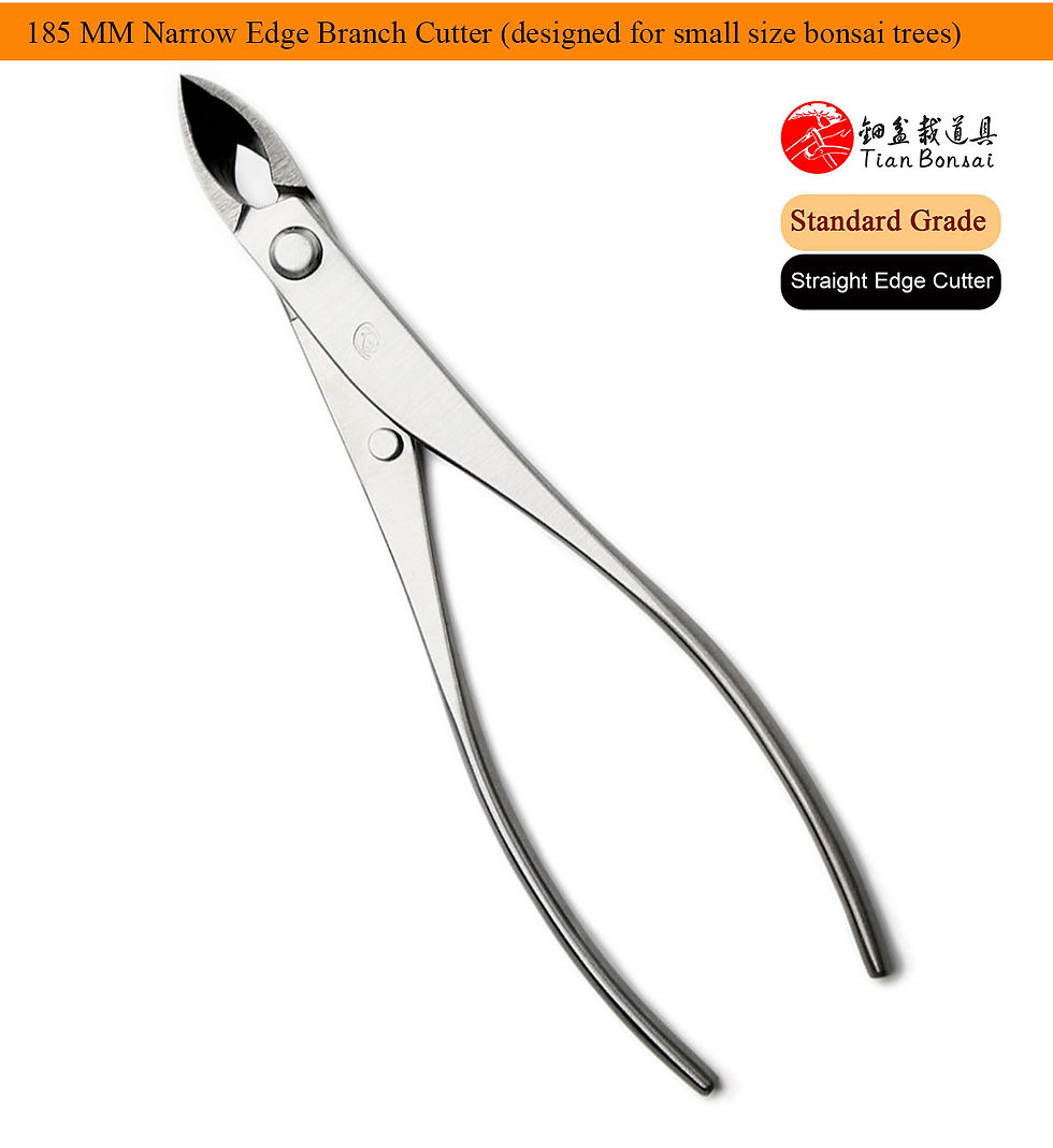 Miniature : Standard Grade Straight Edge Branch Cutter 3Cr13 Alloy Steel Bonsai Tools