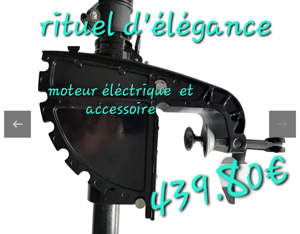 Miniature : Moteur marin MASTER 120 LBs électrique 1560 W