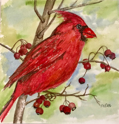 Cardinal for Ann.jpg, Watercolor on Paper, 8" x 8"