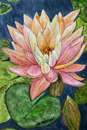 Water Lily.jpg, Watercolor on Paper, 6" x 8"