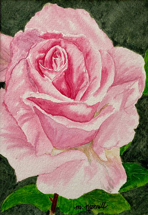Blooming Pink.jpg
Watercolor on Paper, 5" x 7"