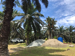 WhatsApp Image 2022-05-30 at 12.05.18 PM