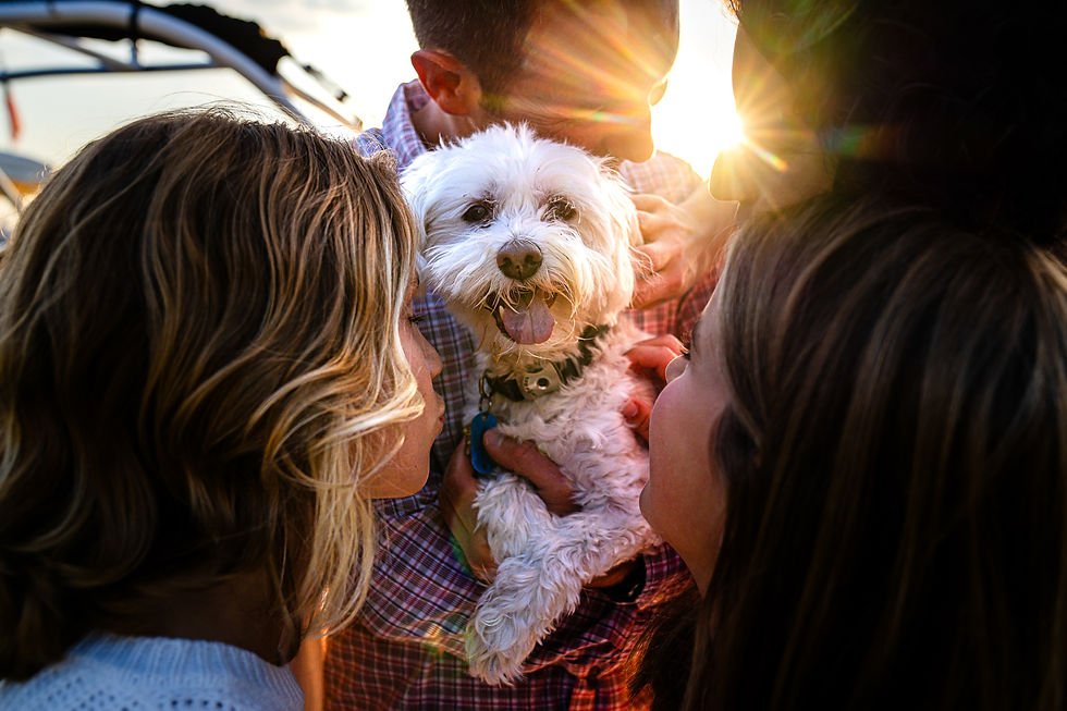 Small white dog held by family members during golden hour, with warm sunlight streaming between them and everyone leaning in to show affection