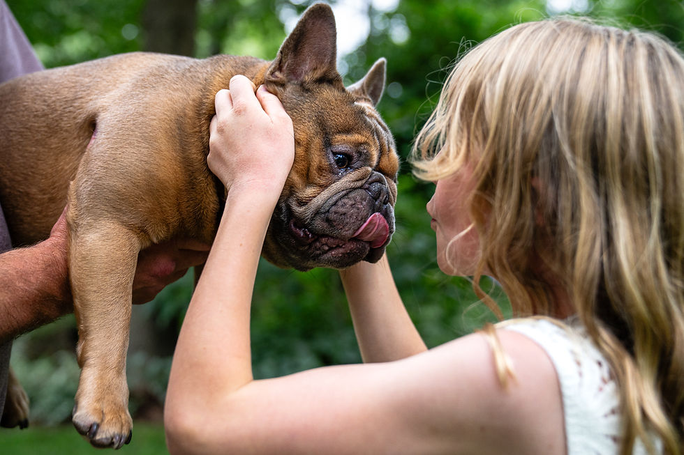 "Young girl smiling closely at a French bulldog as she gently holds its face, with the dog sticking out its tongue and lush greenery in the background.