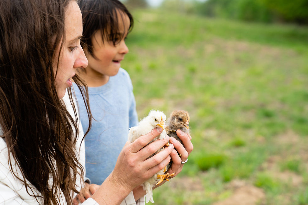 a mother and son holding baby chicks