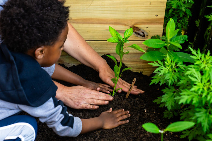 Adult and child planting a seedling together in a school garden as part of a farm-to-school program in Michigan.