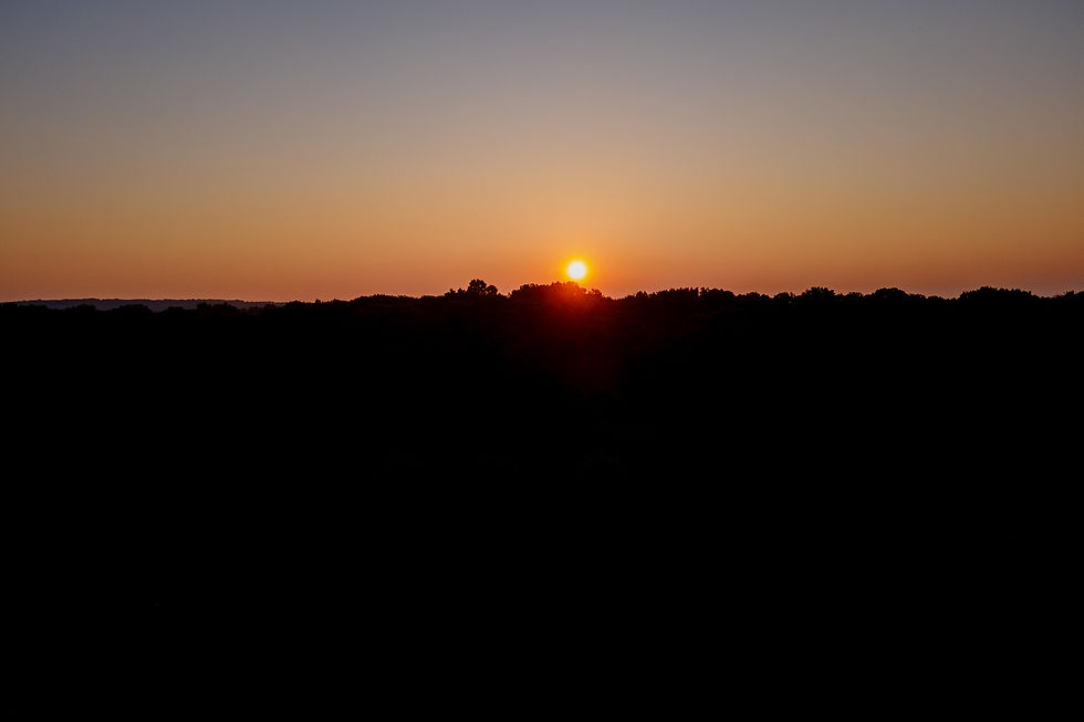 Silhouette of Bankson Lake Farm at sunrise, captured during a farm photography session in Michigan