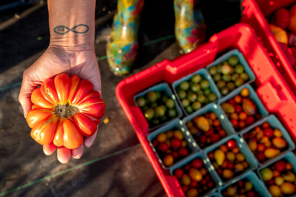 Hand holding heirloom tomato with farm-fresh produce crates in background at Bankson Lake Farm in Michigan