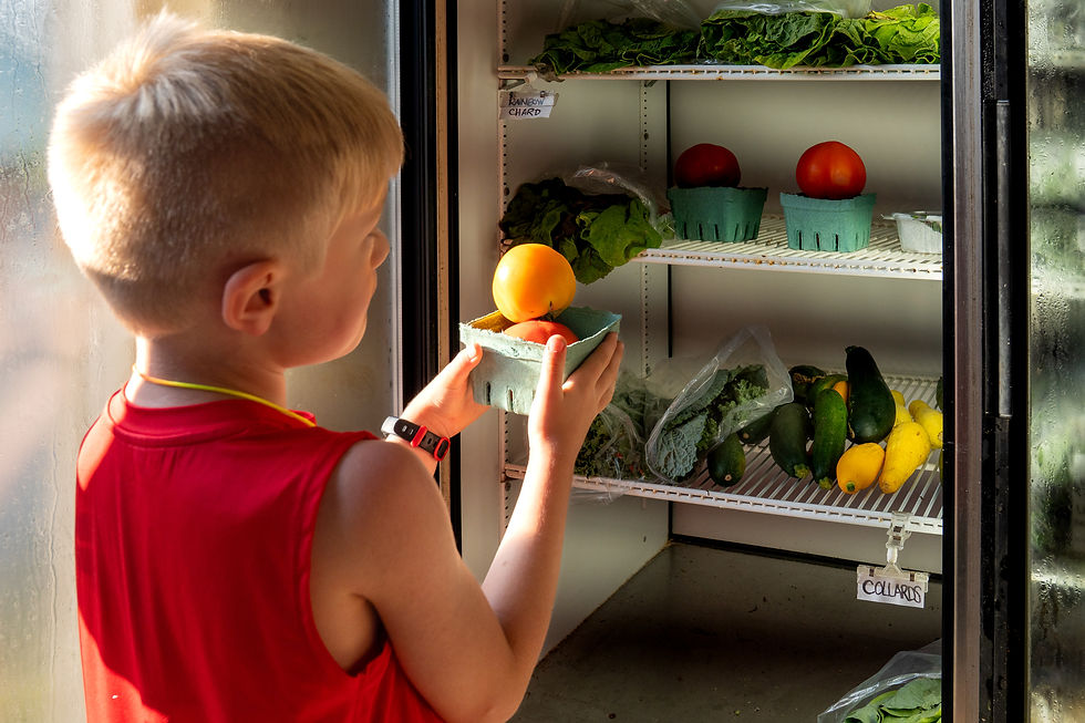 Child choosing farm-fresh produce from cooler at Bankson Lake Farm roadside stand in Michigan