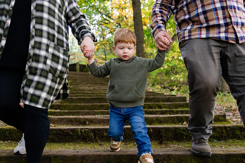 Family walking hand-in-hand down the wooden steps at Woollam Nature Preserve during a Kalamazoo County Parks family photography session