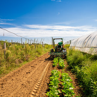 Farm tractor working rows with greenhouse in background, Michigan agricultural commercial photography for Taste the Local Difference