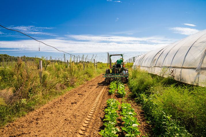 Tractor moving through rows beside hoop houses on a Michigan farm.
