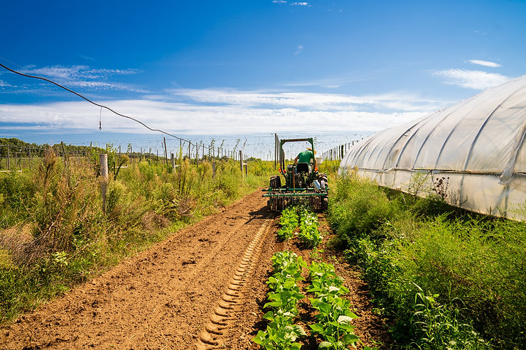 Tractor fertilizing crops in Michigan