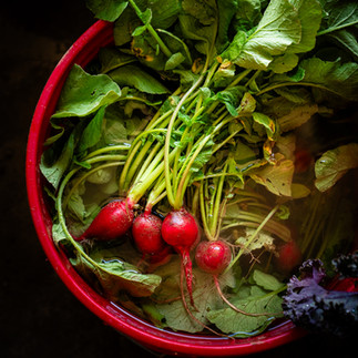 Fresh farm produce with radishes and greens, Michigan farm photography for Taste the Local Difference