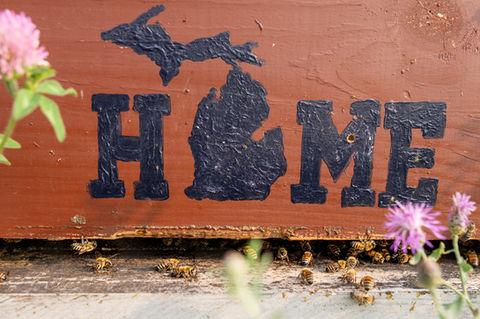 Michigan agricultural photography local farm home sign