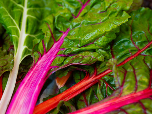 Farm to School: Northwoods Test Kitchen in Marquette Michigan