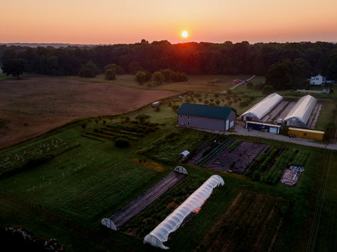 Sunrise over Bankson Lake Farm in Lawton Michigan