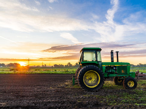 A Michigan Photographer's Sunrise Visit to Crisp Country Acres for 10 Cents a Meal