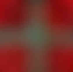 overhead view of freshly picked raspberries for Taste the Local Difference