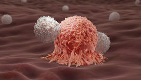 Media release: International deal for Kiwi cancer therapy biotech