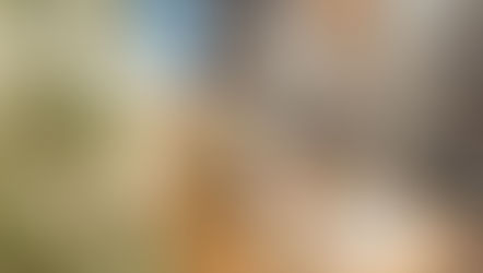 How to Ensure You Receive Emails from a Specific Domain in Gmail