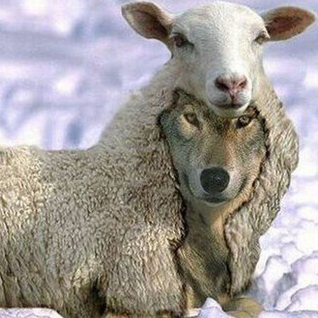 The AND Campaign - Wolf in Sheep's Clothing