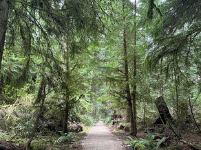 Paths of healing through life and death