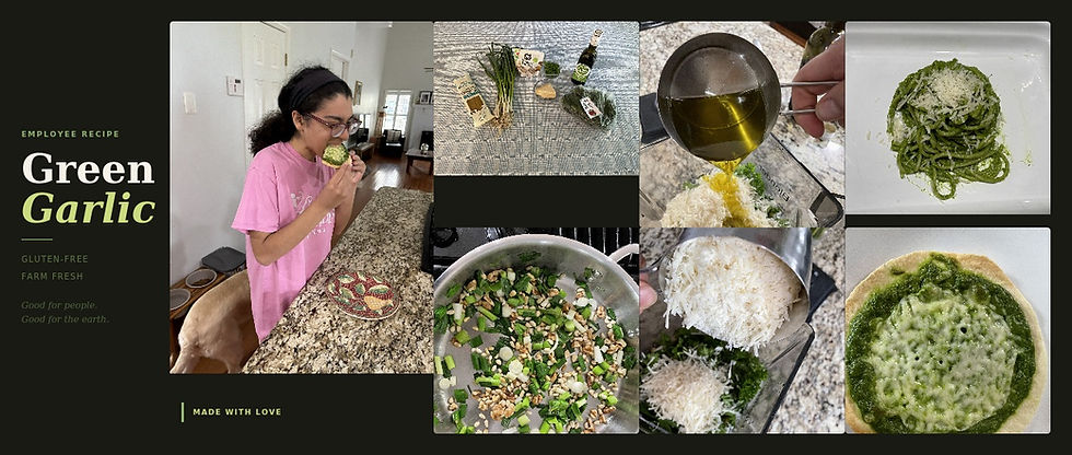 Introduction to Green Garlic