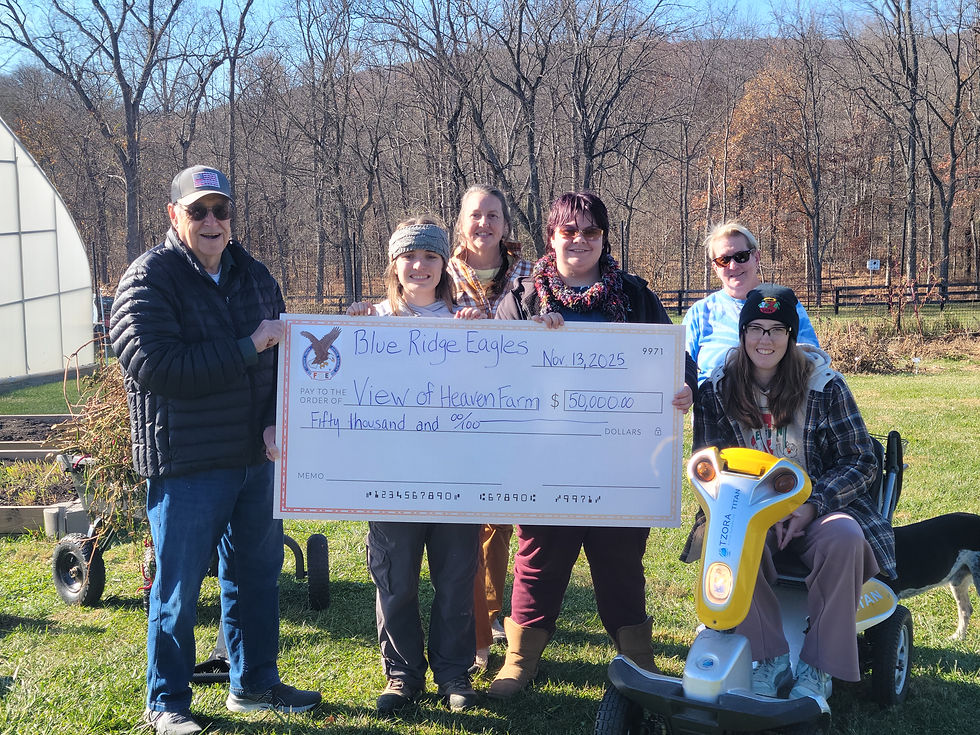 Spotlight: The Blue Ridge Eagles