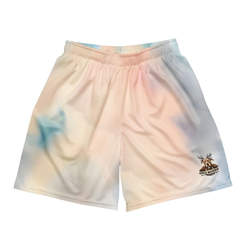 "Classic Goose" Tie-Dye Mesh Shorts