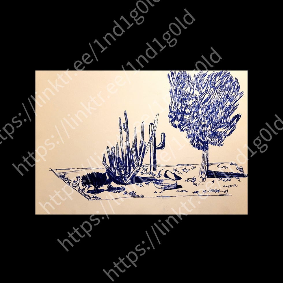 Phoenix Sketches; Drawing of My Neighbor's Yard (2)