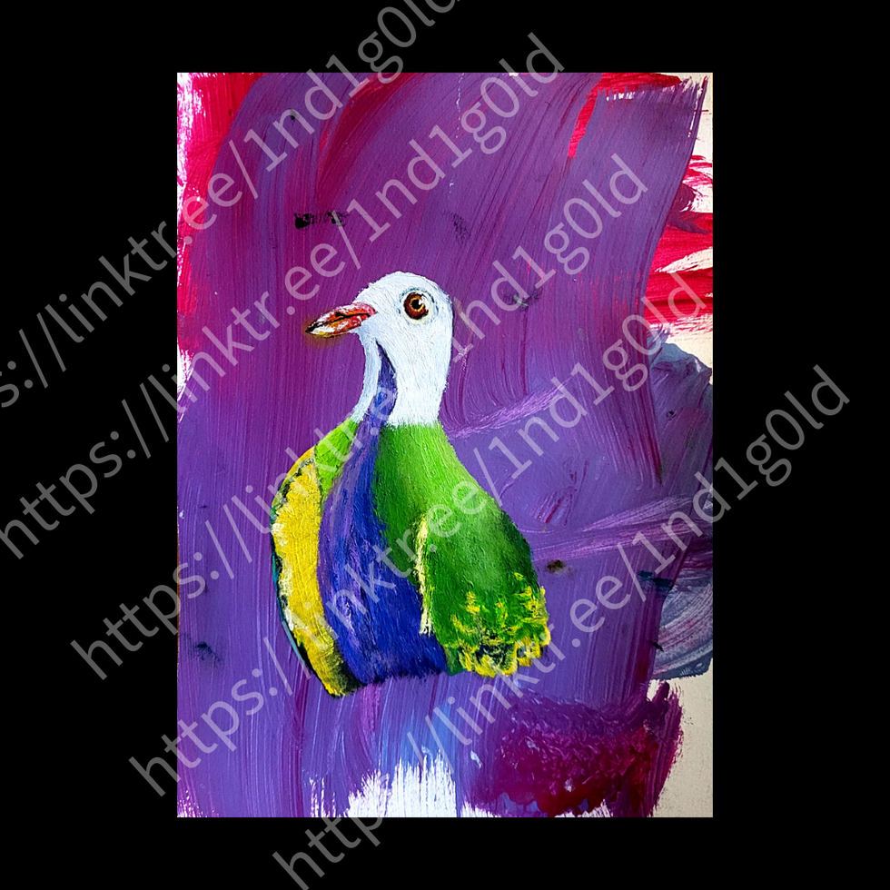 A Pigeon (2)