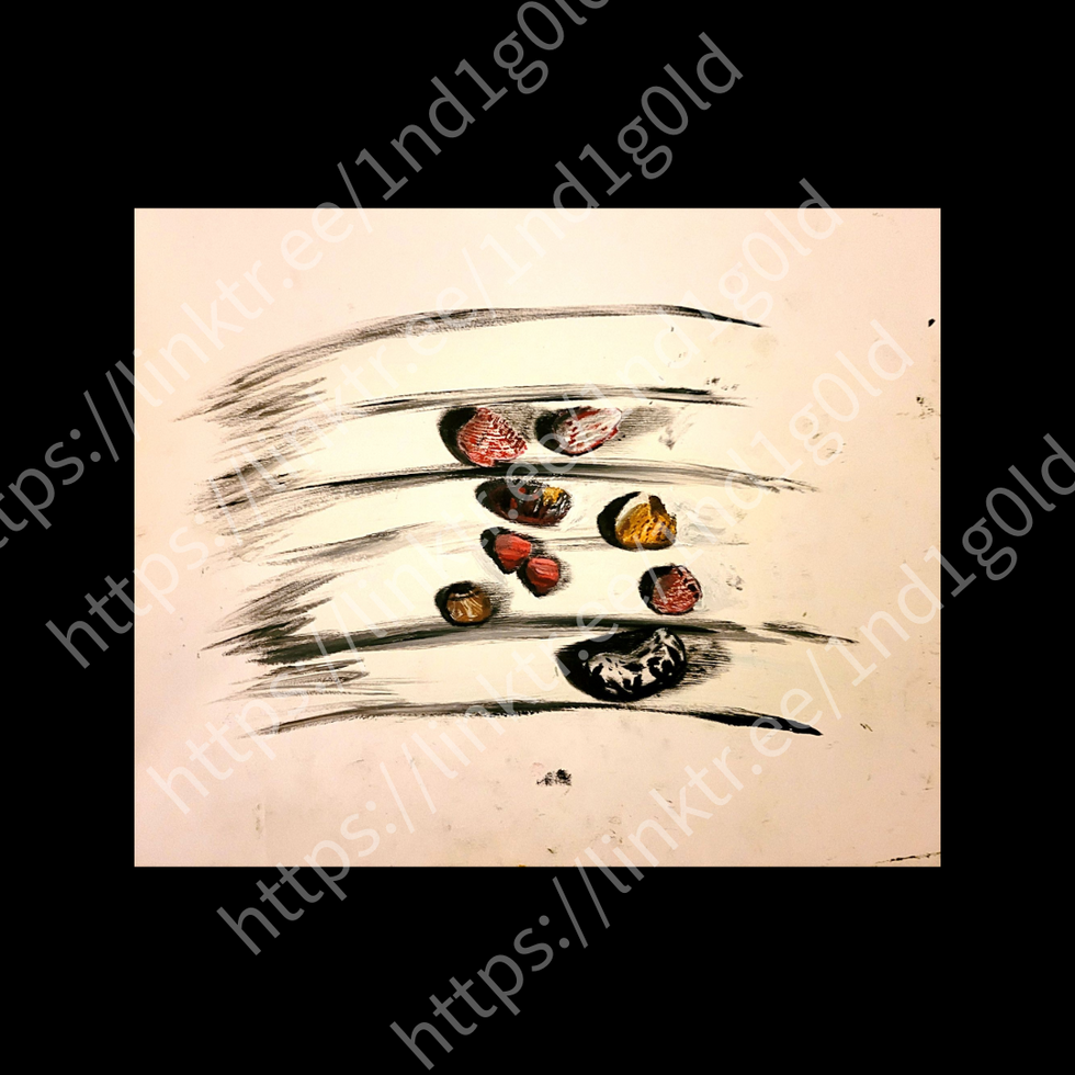 Puerto Rico; Seashells.png