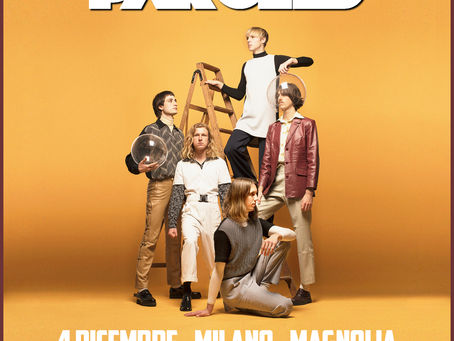 PARCELS: A dicembre tornano dal vivo in Italia #Parcels