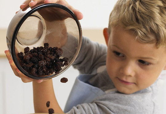 Raisins_538606371.jpg