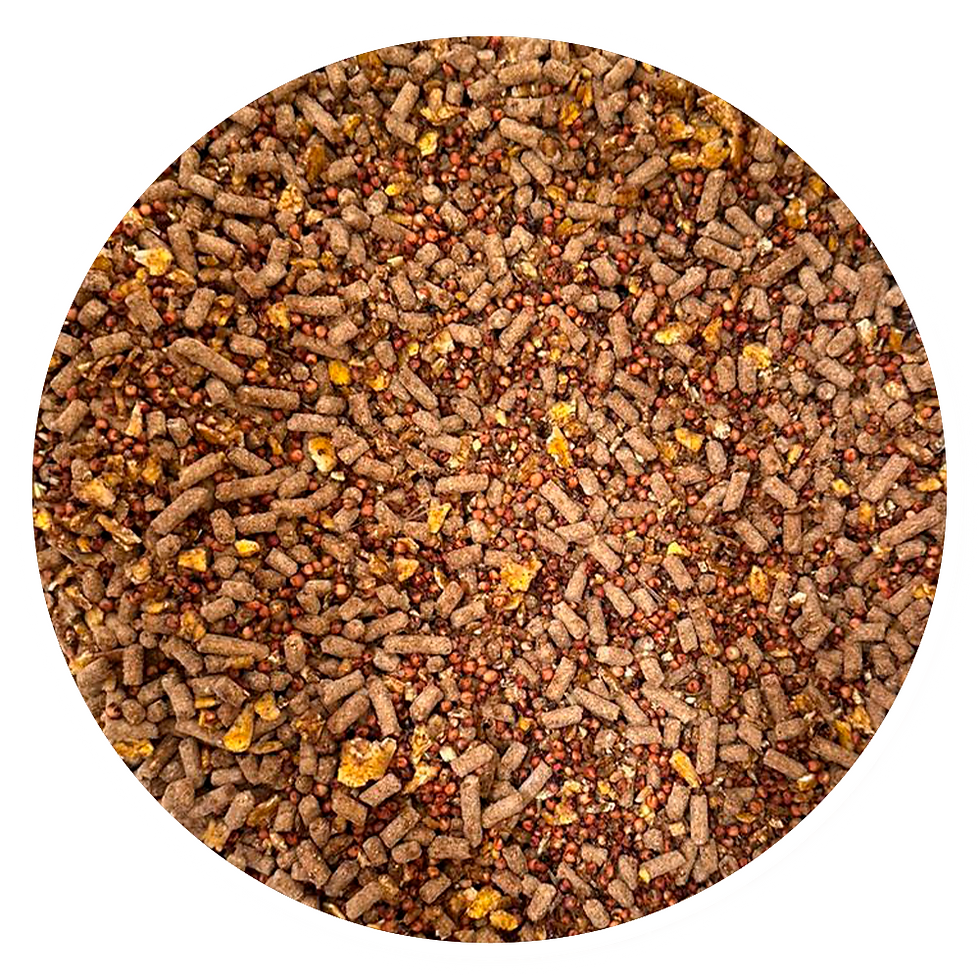 Ovina Engorda 15 Multiparticulas