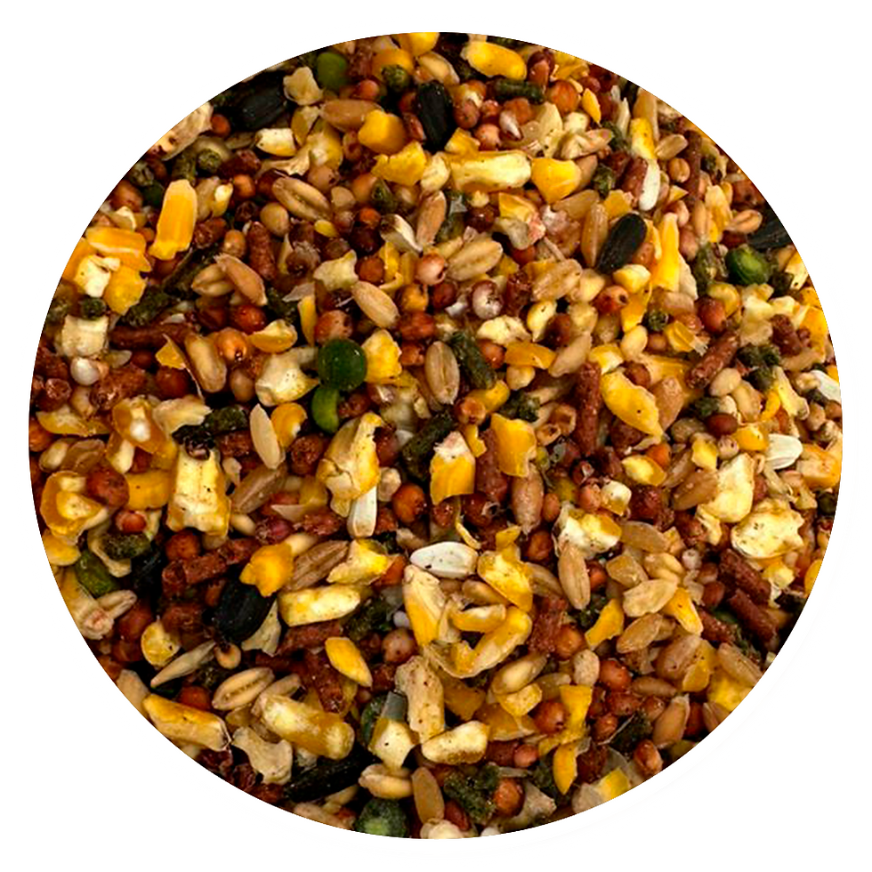 Alimento para Gallos de Pelea | Comercializadora Llabana