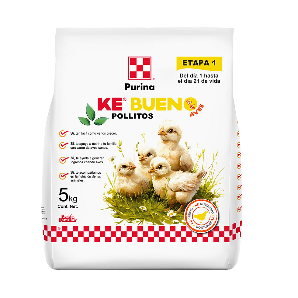 Ke Bueno Pollitos
