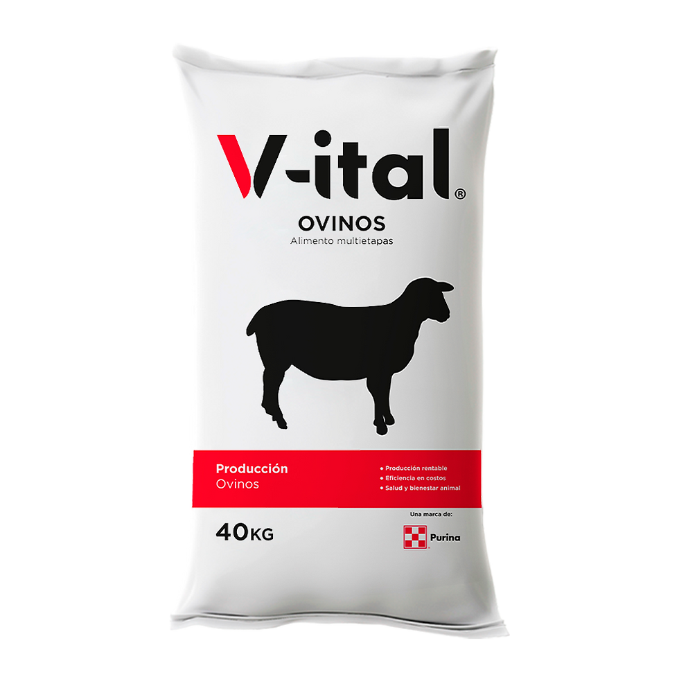 V-ital Ovinos