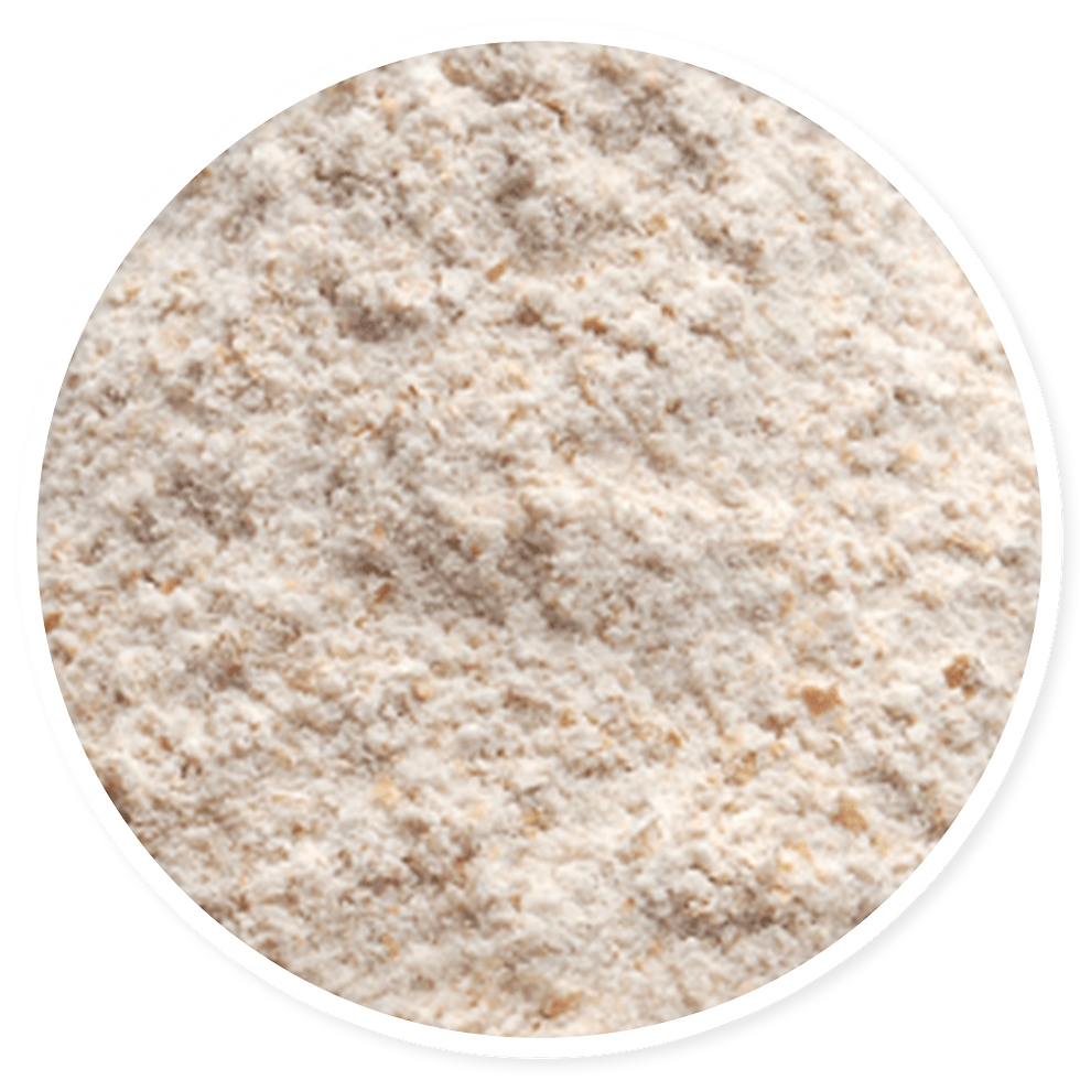 X-Cellence Zy-O-Plex