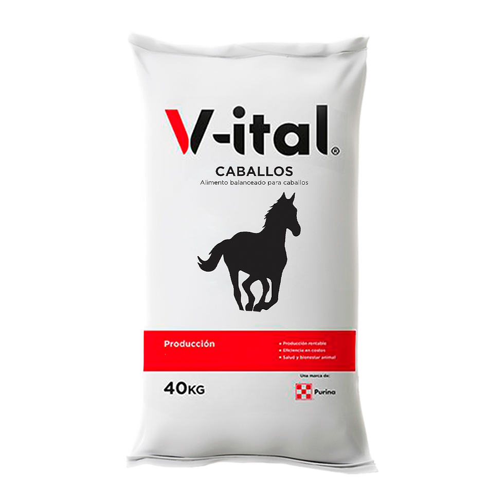 V-ital Caballos