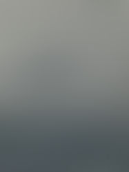 Finally!!  Bloody dolphins!