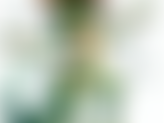 2024 State Truck Driving Championships Schedule.