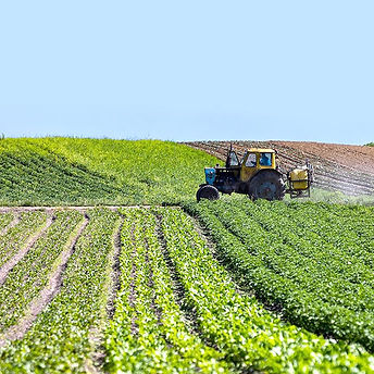 Agricole-1.jpg