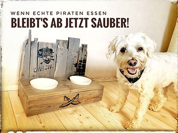 Hundebar-erhoeht-aus-holz-mit-namen.jpg