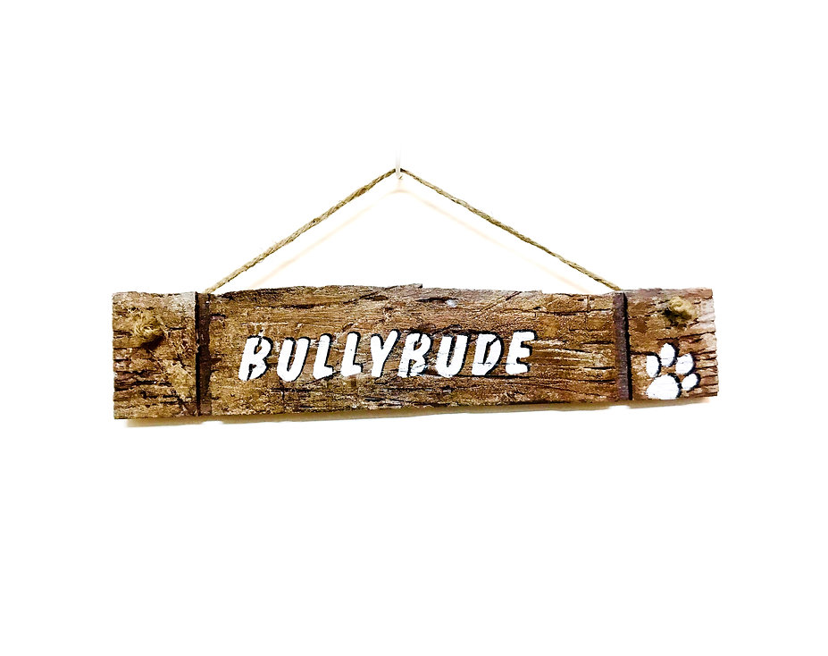 Bullybude Schild.jpeg