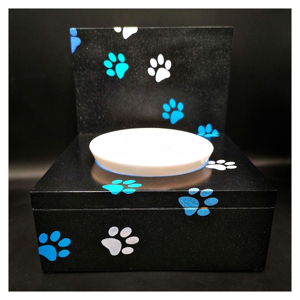 Thumbnail: Futterbar (Buche) mit Pfoten, Blaue Lagune, ab